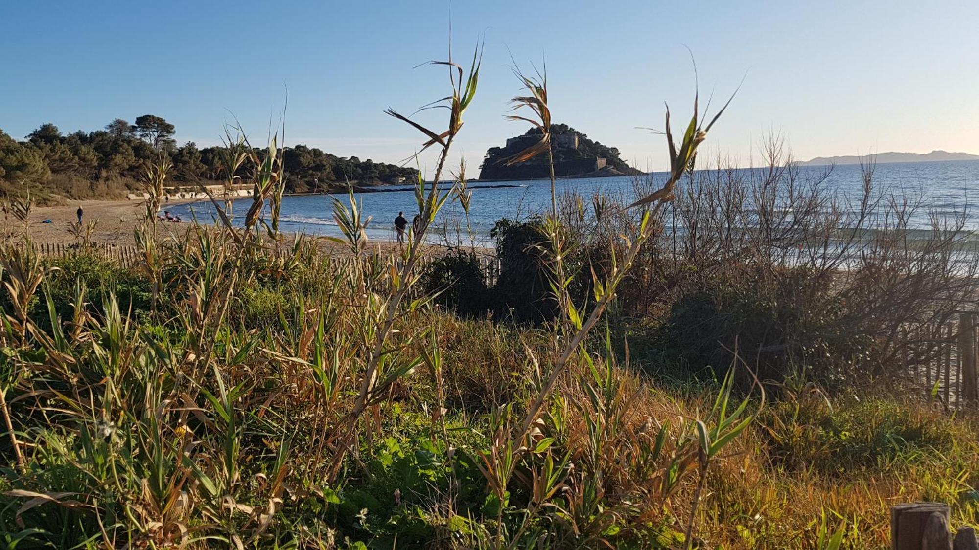 Rez De Jardin T3 Recent Et Calme Au Nouvelles Terres A La Londe Les Maures Apartment Luaran gambar
