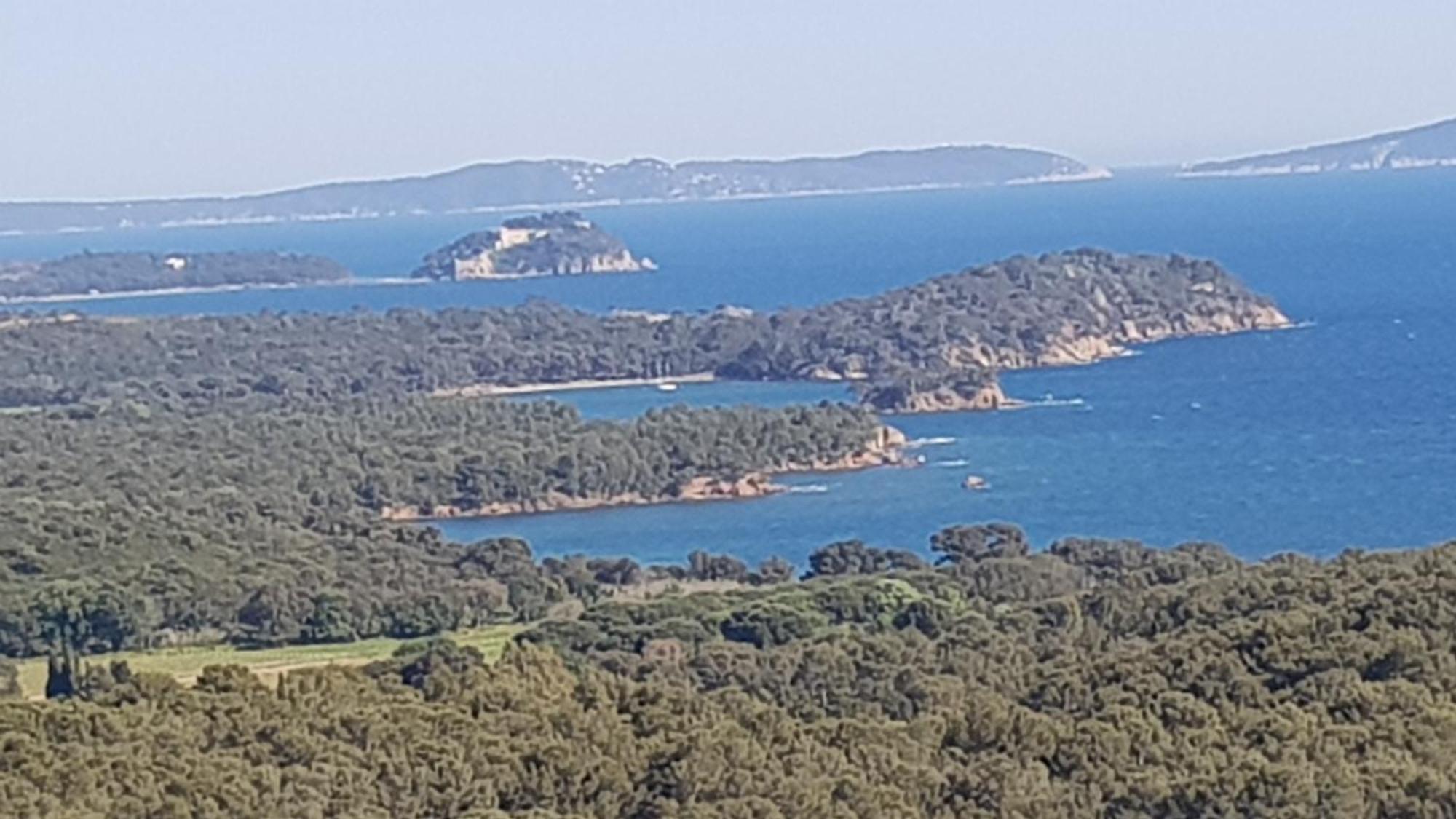 Rez De Jardin T3 Recent Et Calme Au Nouvelles Terres A La Londe Les Maures Apartment Luaran gambar