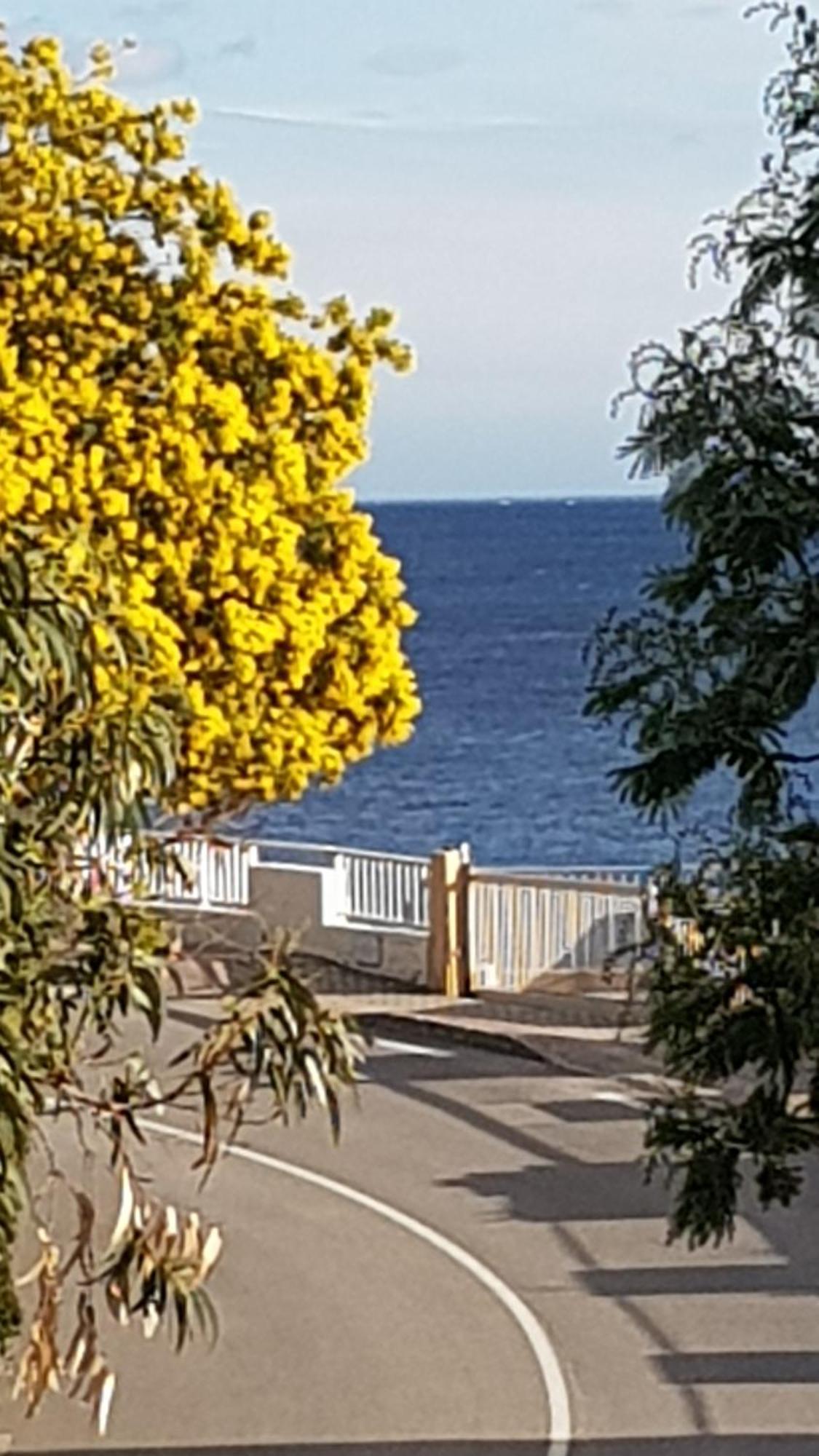 Rez De Jardin T3 Recent Et Calme Au Nouvelles Terres A La Londe Les Maures Apartment Luaran gambar