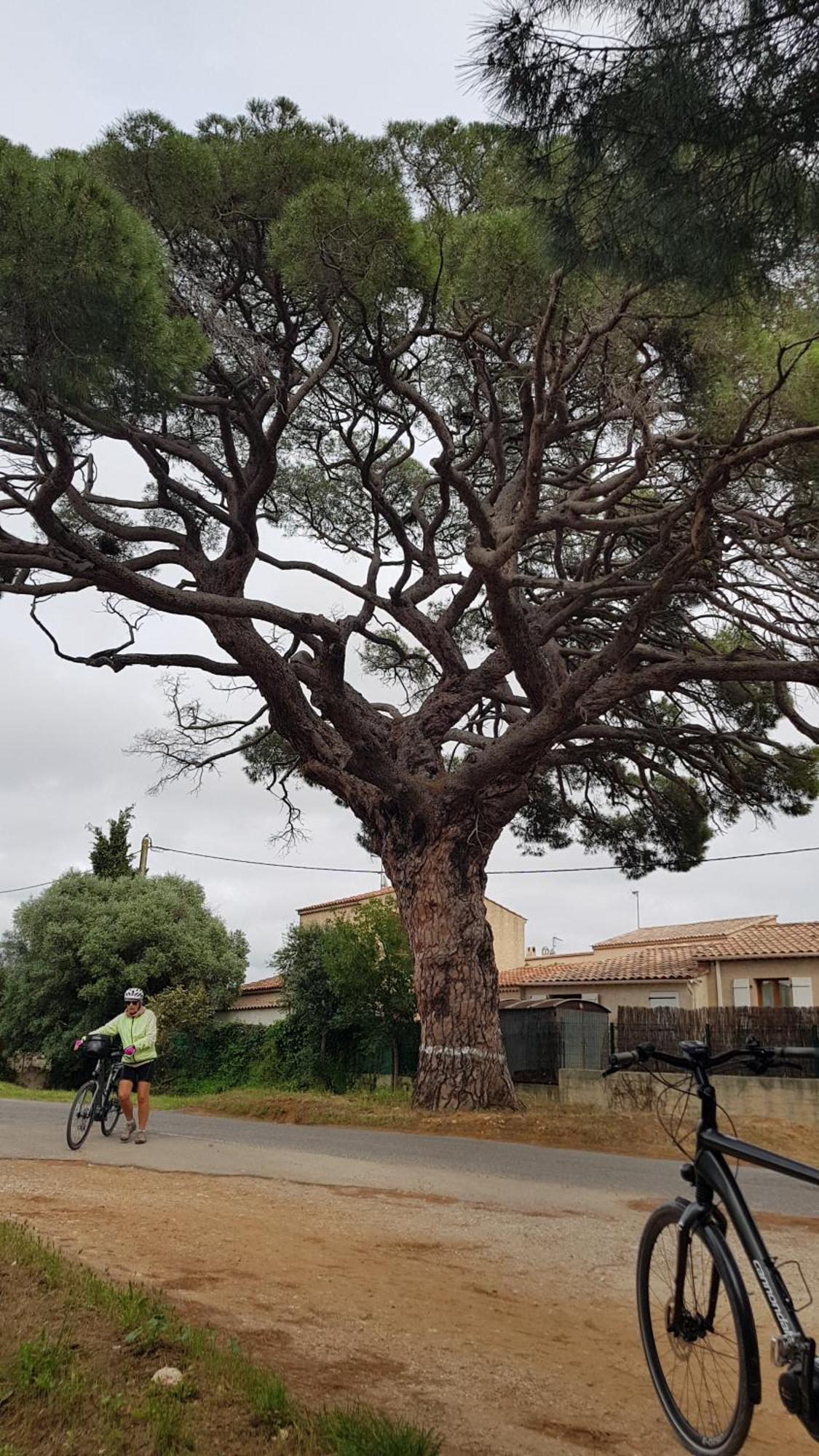 Rez De Jardin T3 Recent Et Calme Au Nouvelles Terres A La Londe Les Maures Apartment Luaran gambar