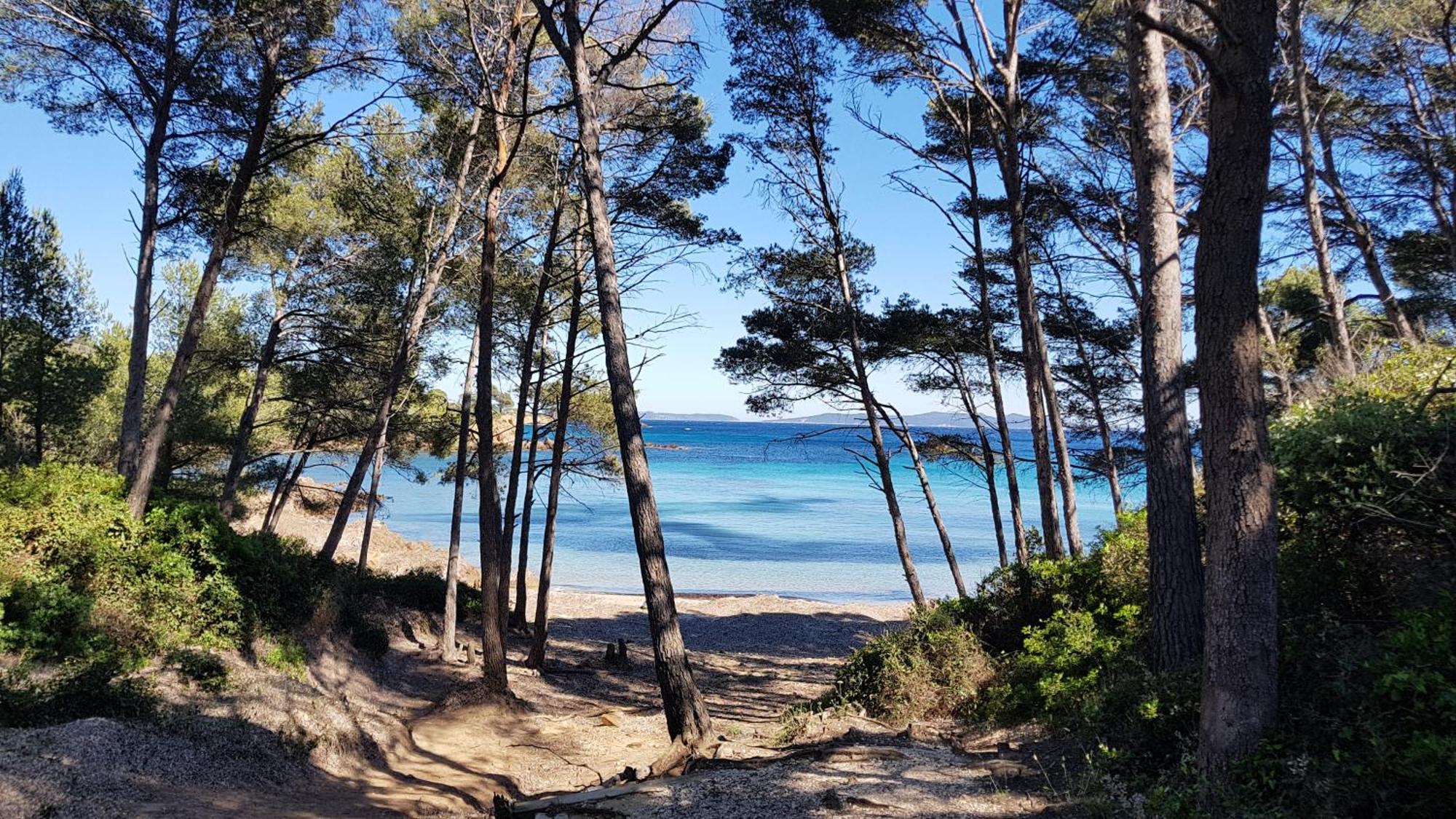 Rez De Jardin T3 Recent Et Calme Au Nouvelles Terres A La Londe Les Maures Apartment Luaran gambar