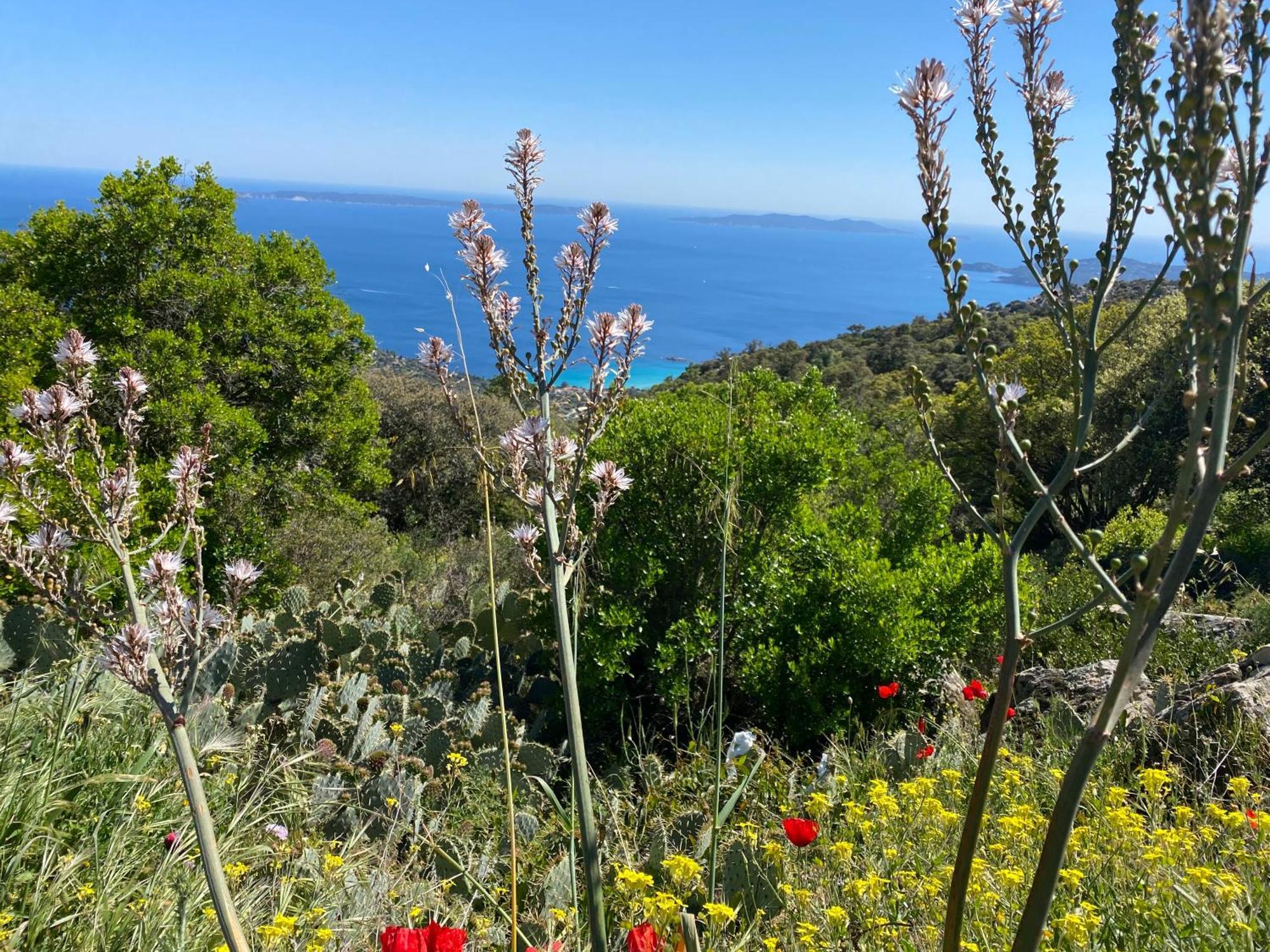 Rez De Jardin T3 Recent Et Calme Au Nouvelles Terres A La Londe Les Maures Apartment Luaran gambar